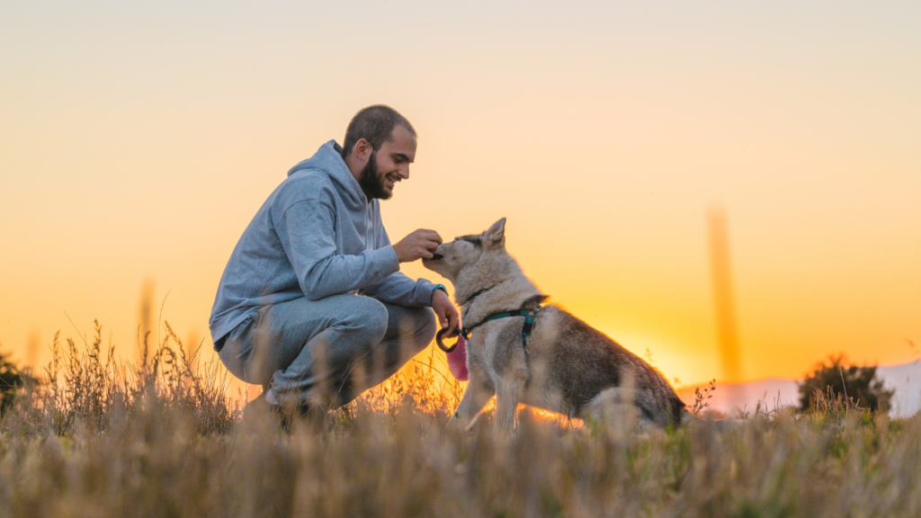 Owner petting his dog