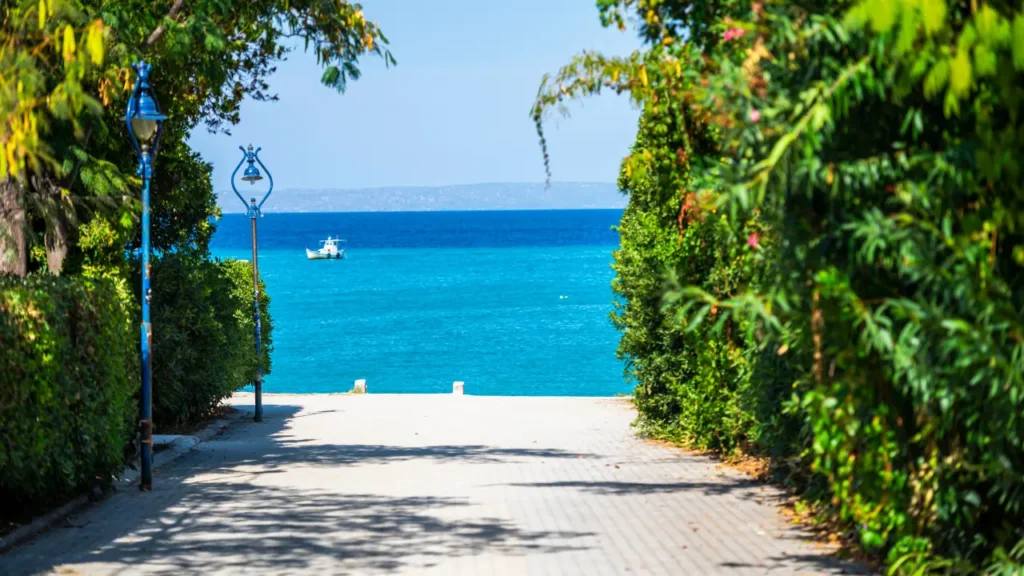 Landscape-in-Kassandra-peninsula-Greece