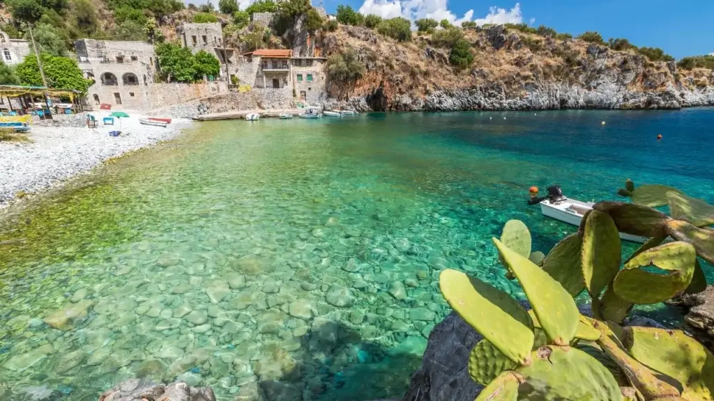 A bright, sunny view of a Mediterranean cove with clear water and a rocky bottom, framed by a prickly pear cactus in the foreground and stone cliffside buildings in the distance.